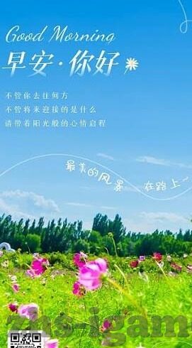 足球比分凯利指数-深度解析足球比分与凯利指数，数据背后的博弈智慧